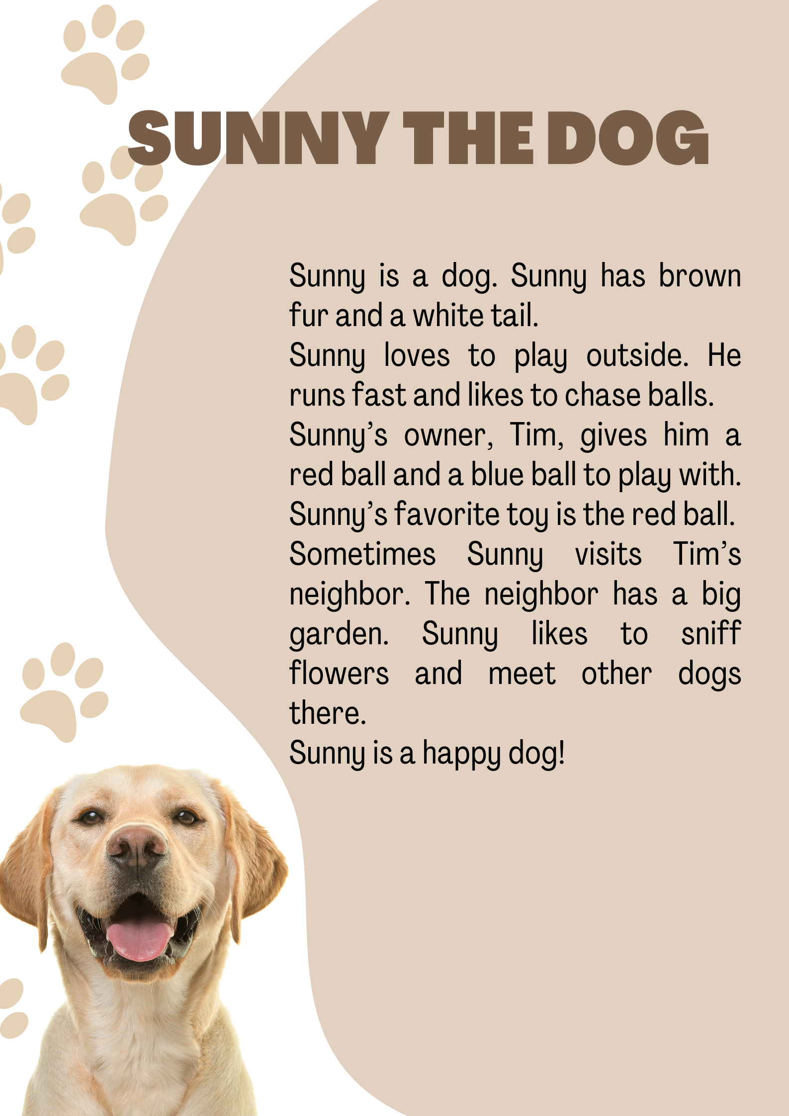 Diagram for: What color is Sunny’s fur?